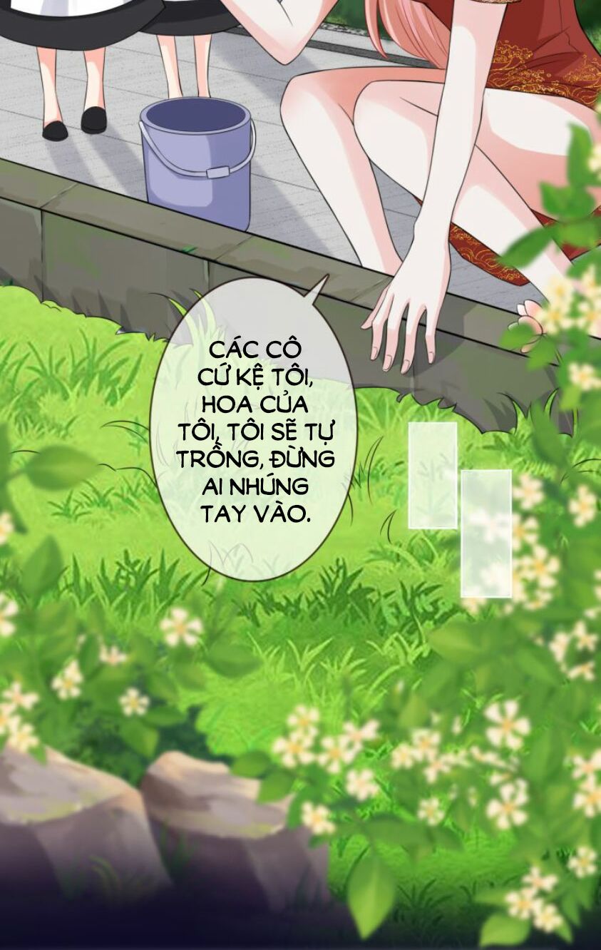 Danh Môn Chí Ái: Chapter 185