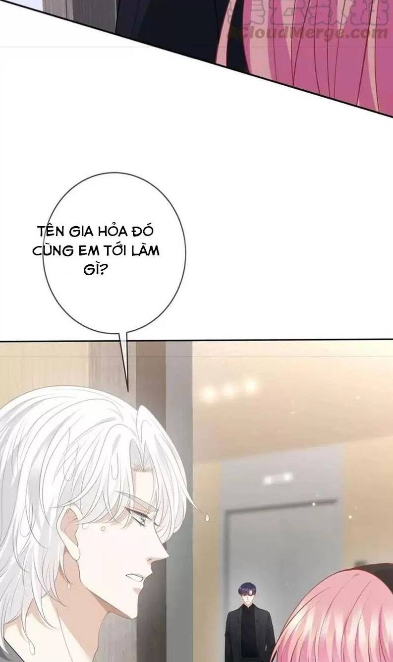 Danh Môn Chí Ái: Chapter 434