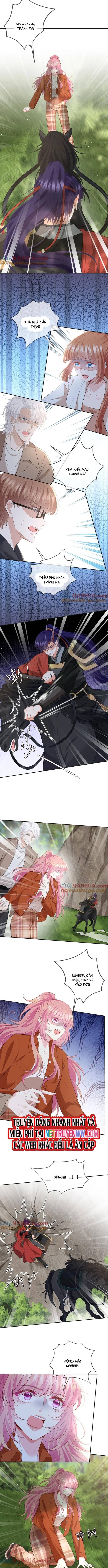 Danh Môn Chí Ái: Chapter 468