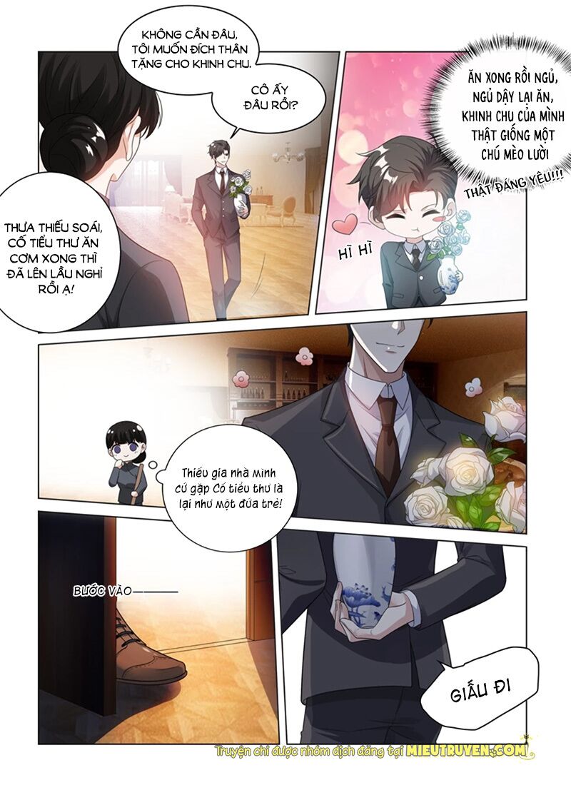 Thiếu Soái ! Vợ Ngài Lại Bỏ Trốn: Chapter 185