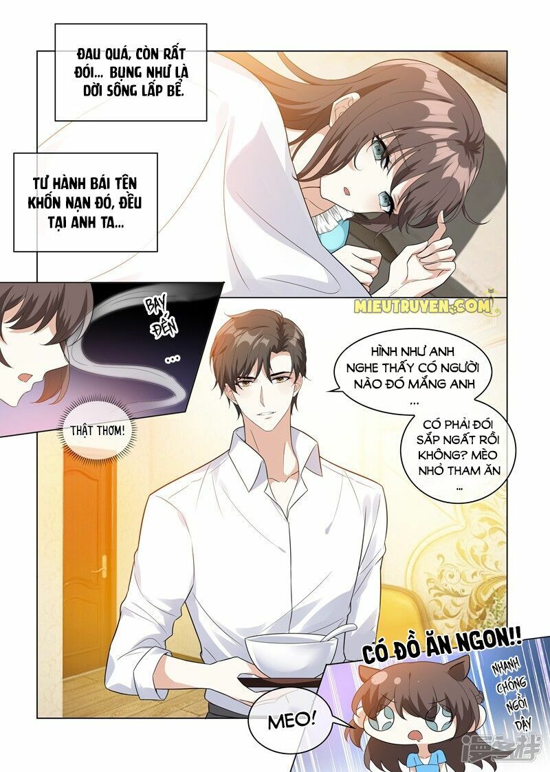 Thiếu Soái ! Vợ Ngài Lại Bỏ Trốn: Chapter 208