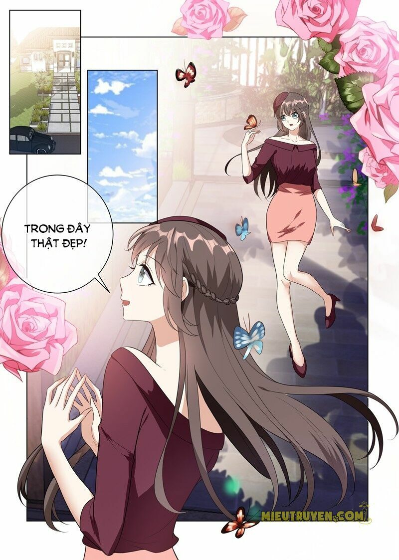 Thiếu Soái ! Vợ Ngài Lại Bỏ Trốn: Chapter 219
