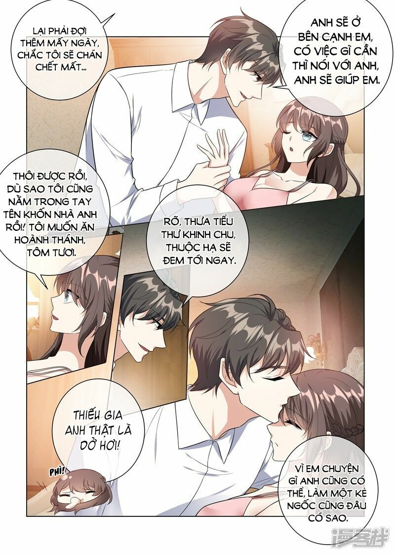 Thiếu Soái ! Vợ Ngài Lại Bỏ Trốn: Chapter 226