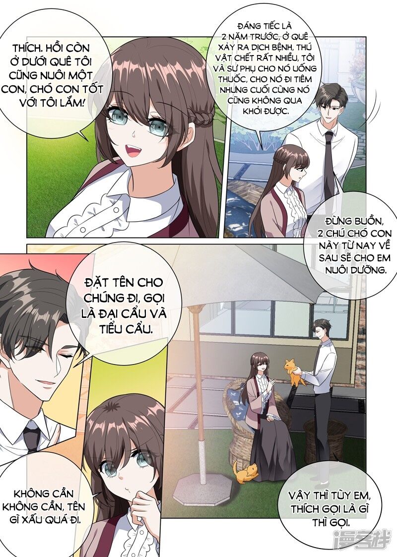 Thiếu Soái ! Vợ Ngài Lại Bỏ Trốn: Chapter 227