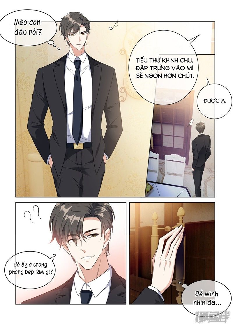 Thiếu Soái ! Vợ Ngài Lại Bỏ Trốn: Chapter 229