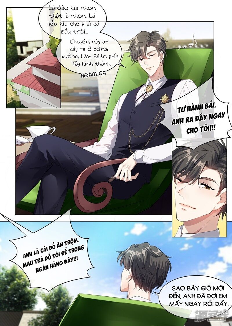 Thiếu Soái ! Vợ Ngài Lại Bỏ Trốn: Chapter 237