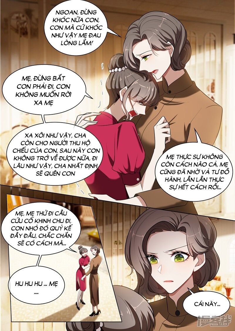 Thiếu Soái ! Vợ Ngài Lại Bỏ Trốn: Chapter 239