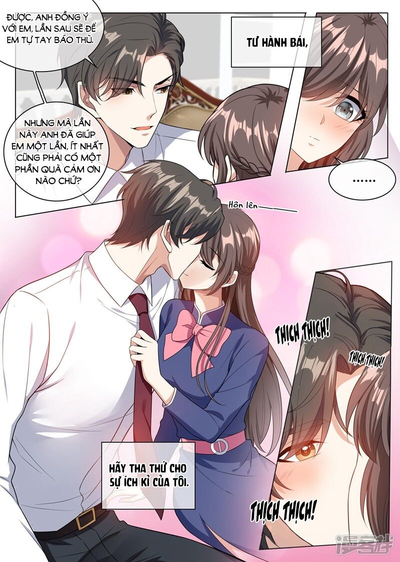 Thiếu Soái ! Vợ Ngài Lại Bỏ Trốn: Chapter 246