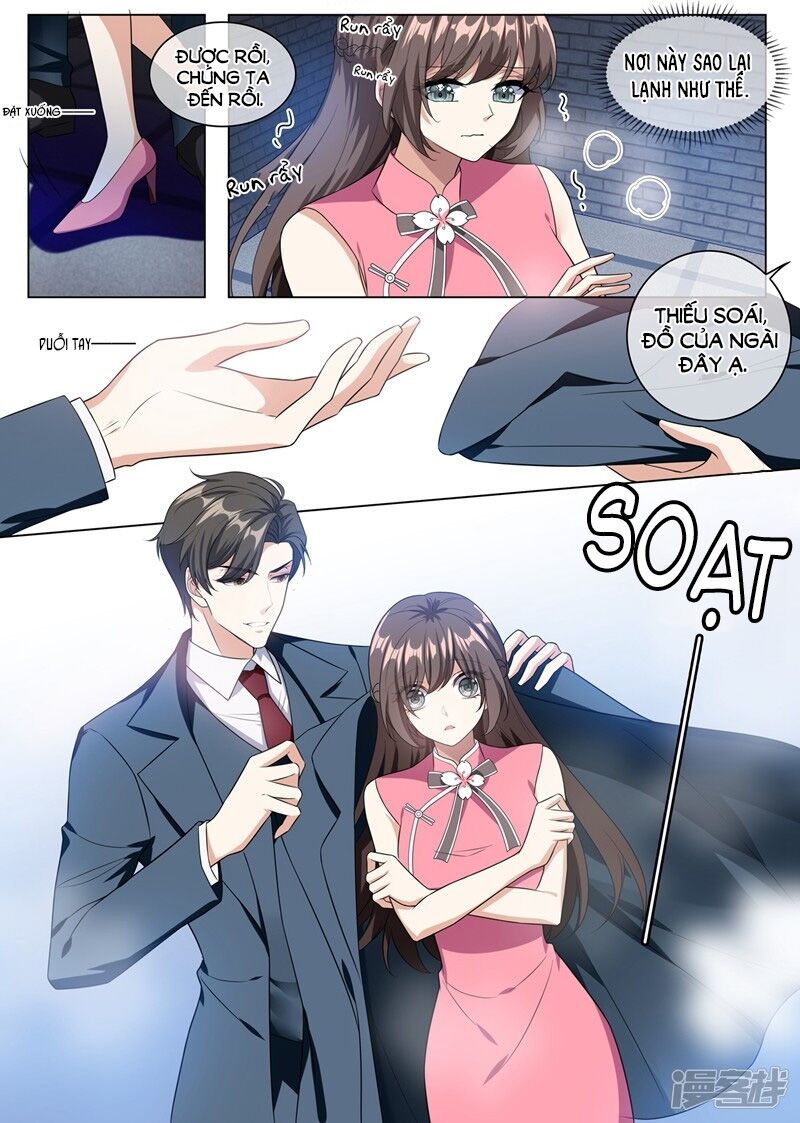 Thiếu Soái ! Vợ Ngài Lại Bỏ Trốn: Chapter 248