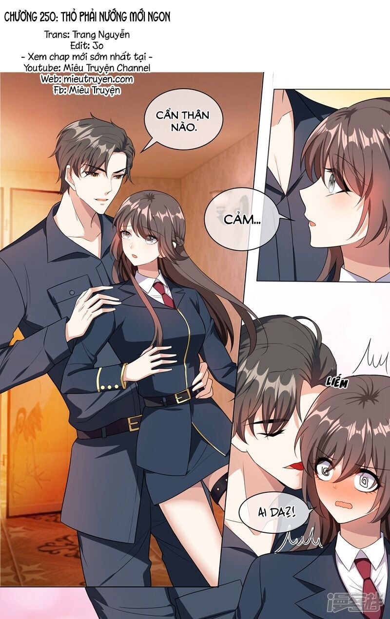 Thiếu Soái ! Vợ Ngài Lại Bỏ Trốn: Chapter 250