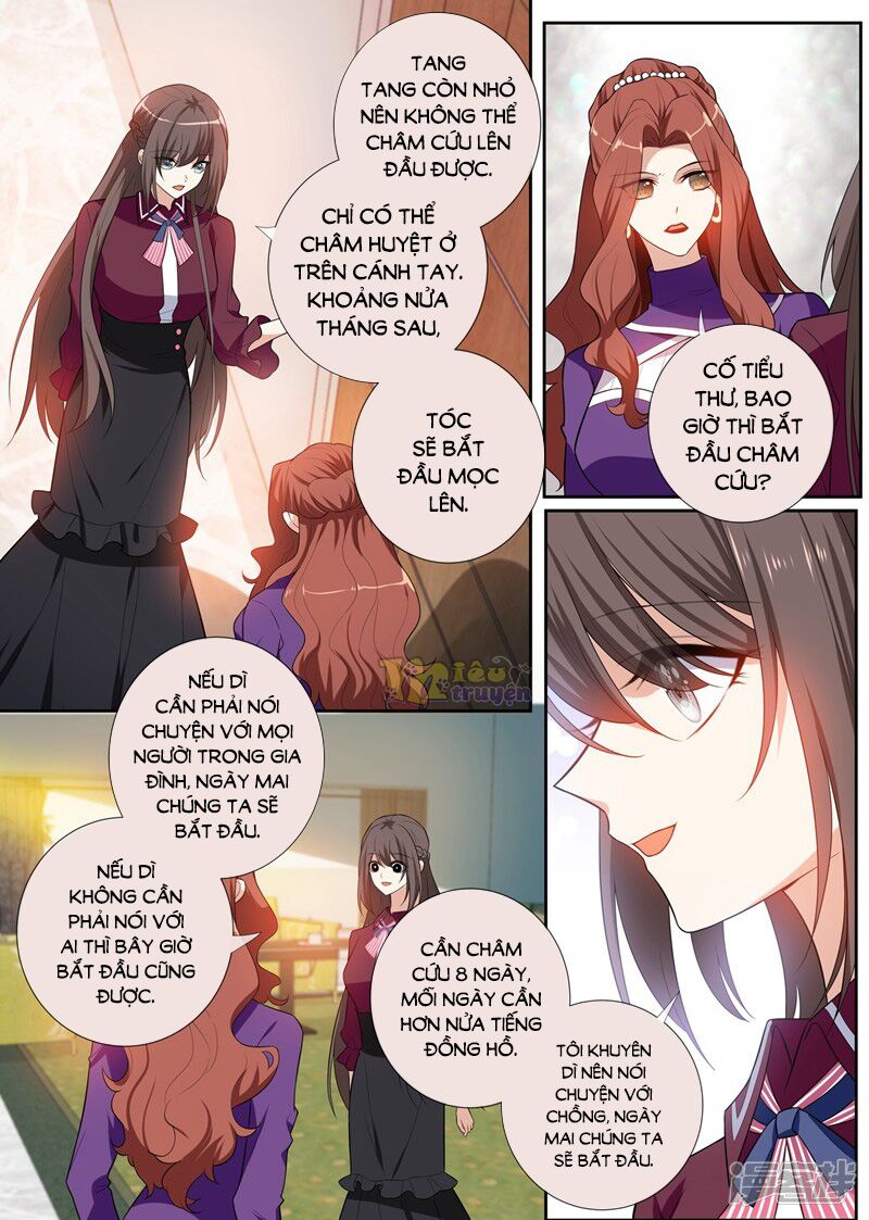 Thiếu Soái ! Vợ Ngài Lại Bỏ Trốn: Chapter 259