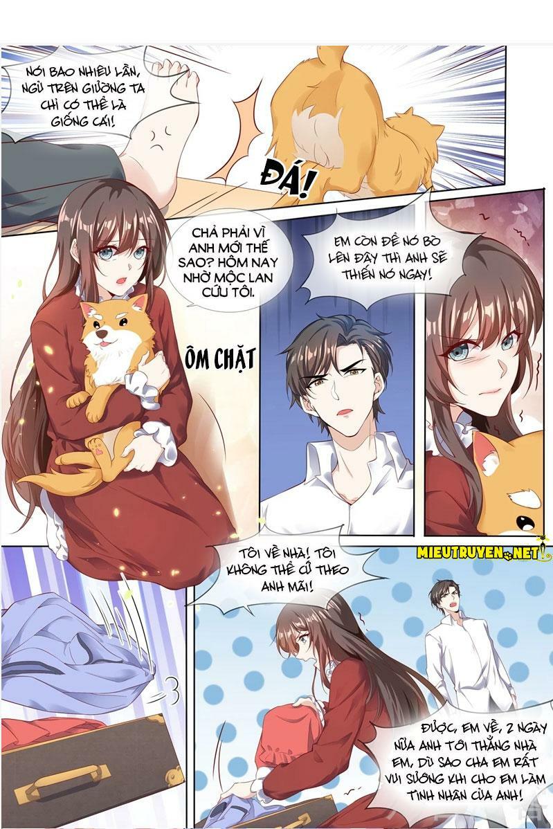 Thiếu Soái ! Vợ Ngài Lại Bỏ Trốn: Chapter 281