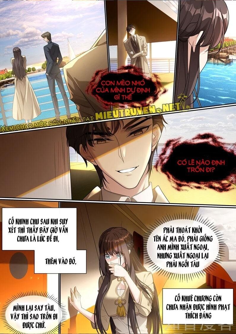 Thiếu Soái ! Vợ Ngài Lại Bỏ Trốn: Chapter 290