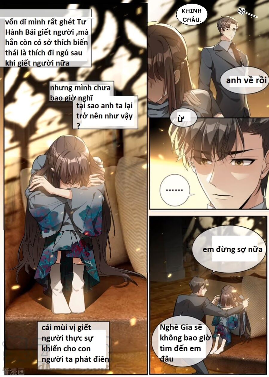 Thiếu Soái ! Vợ Ngài Lại Bỏ Trốn: Chapter 303