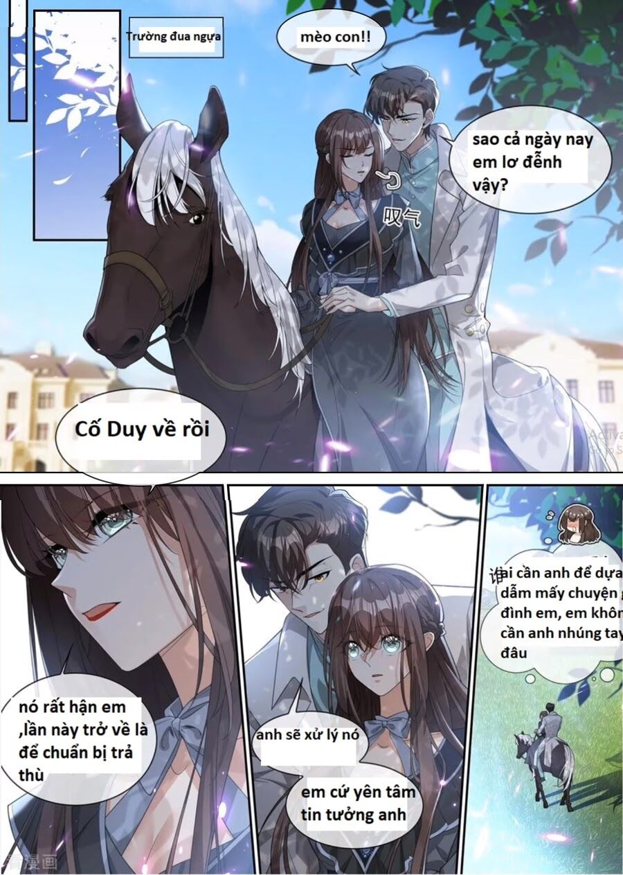 Thiếu Soái ! Vợ Ngài Lại Bỏ Trốn: Chapter 303
