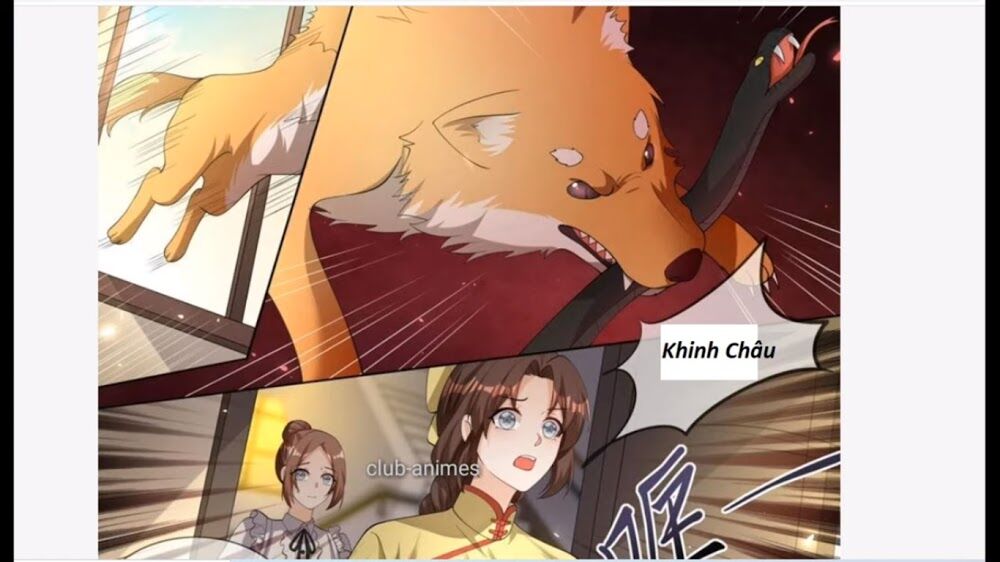 Thiếu Soái ! Vợ Ngài Lại Bỏ Trốn: Chapter 331