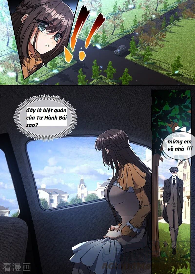 Thiếu Soái ! Vợ Ngài Lại Bỏ Trốn: Chapter 343