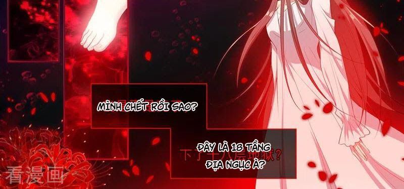 Thiếu Soái ! Vợ Ngài Lại Bỏ Trốn: Chapter 354