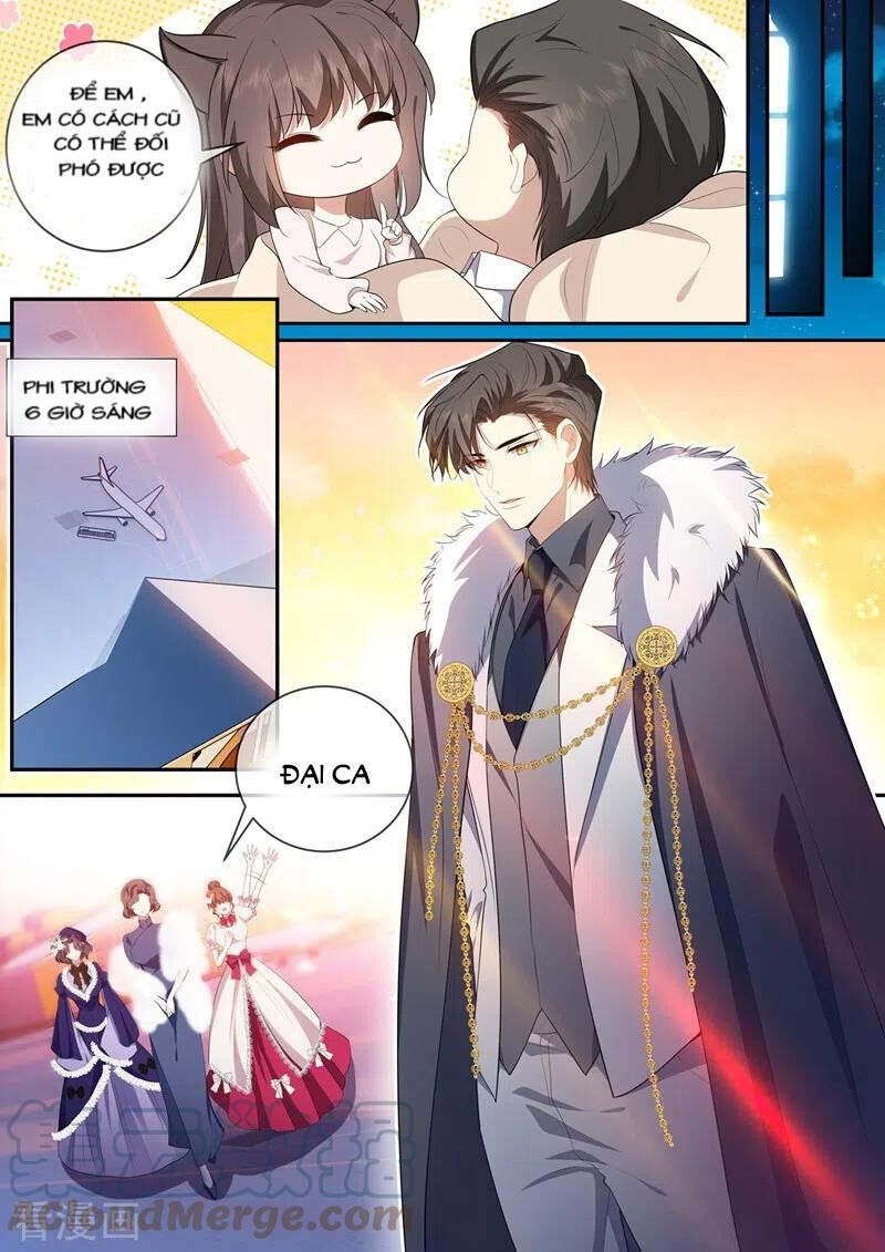 Thiếu Soái ! Vợ Ngài Lại Bỏ Trốn: Chapter 435