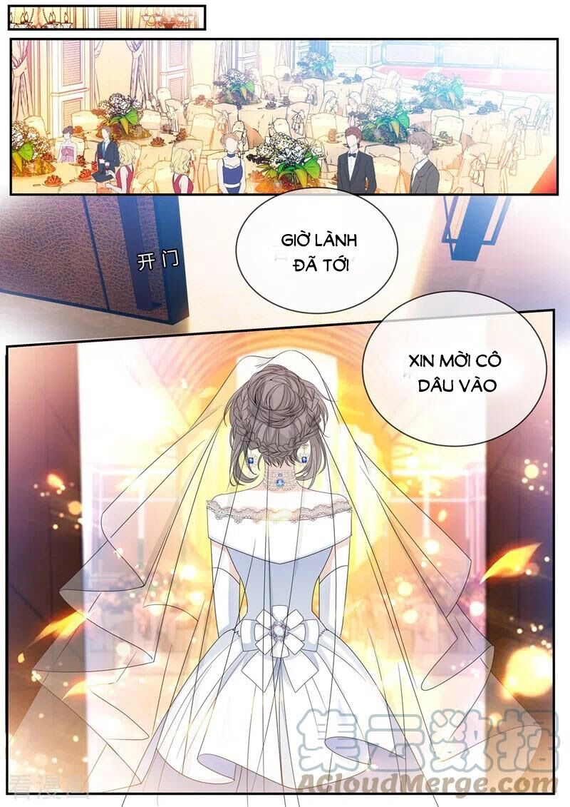 Thiếu Soái ! Vợ Ngài Lại Bỏ Trốn: Chapter 437
