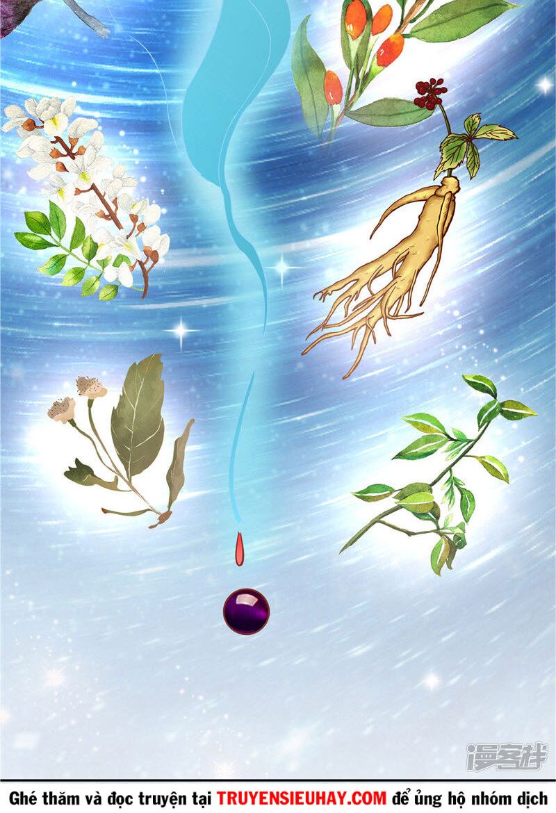 Chí Tôn Võ Đế: Chapter 217