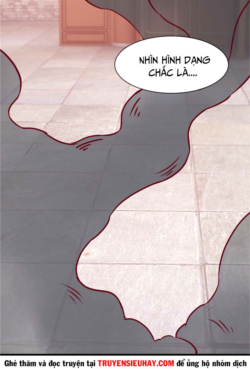 Chí Tôn Võ Đế: Chapter 219