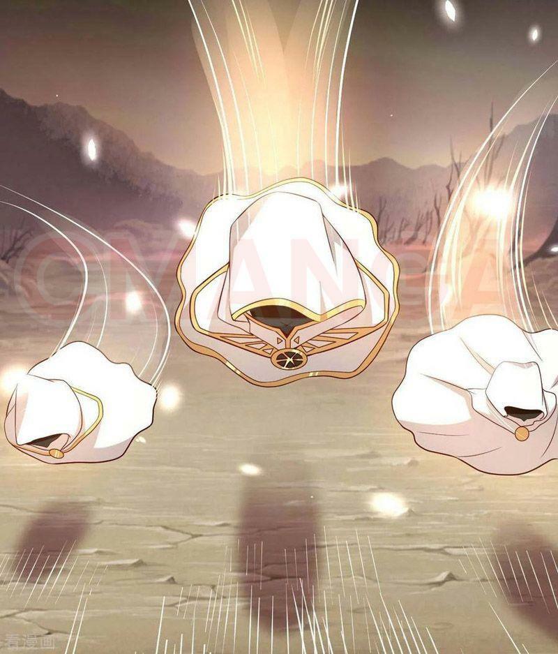 Chí Tôn Võ Đế: Chapter 312