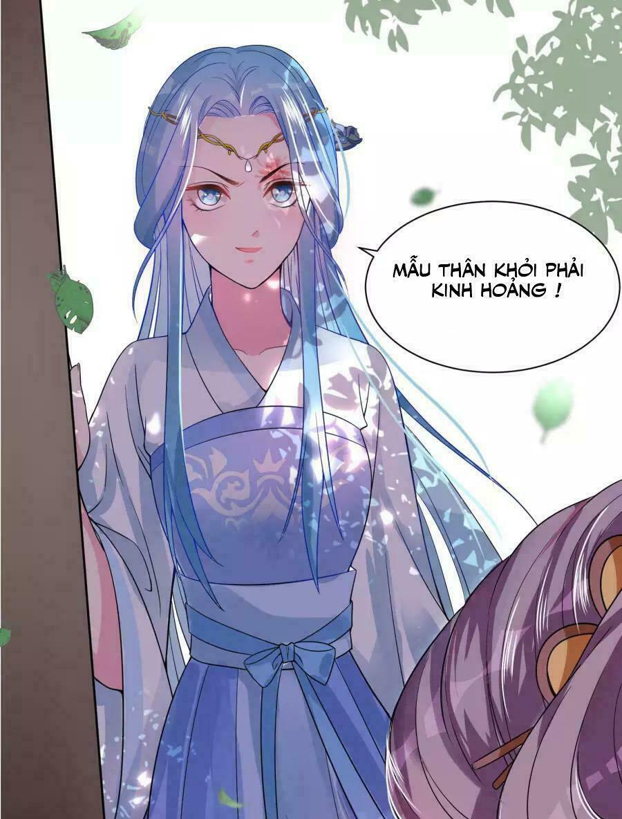 Độc Y Đích Nữ: Chapter 2