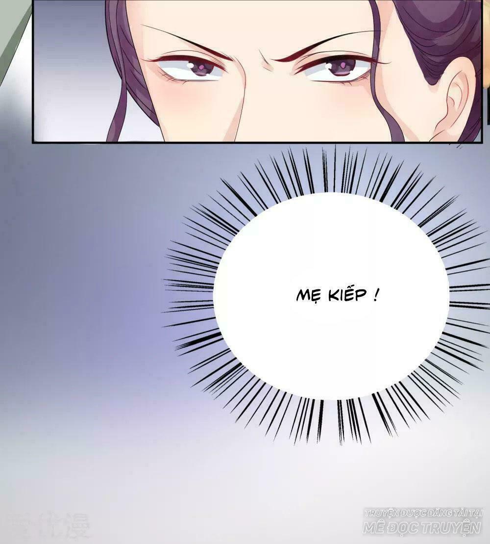 Độc Y Đích Nữ: Chapter 3