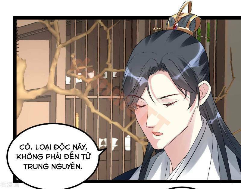Độc Y Đích Nữ: Chapter 56