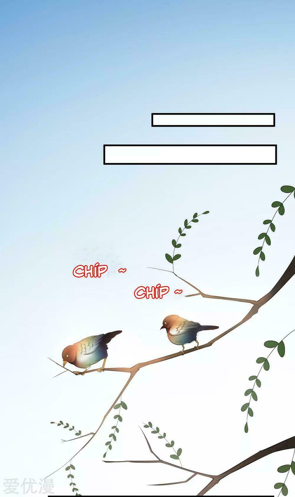 Độc Y Đích Nữ: Chapter 8