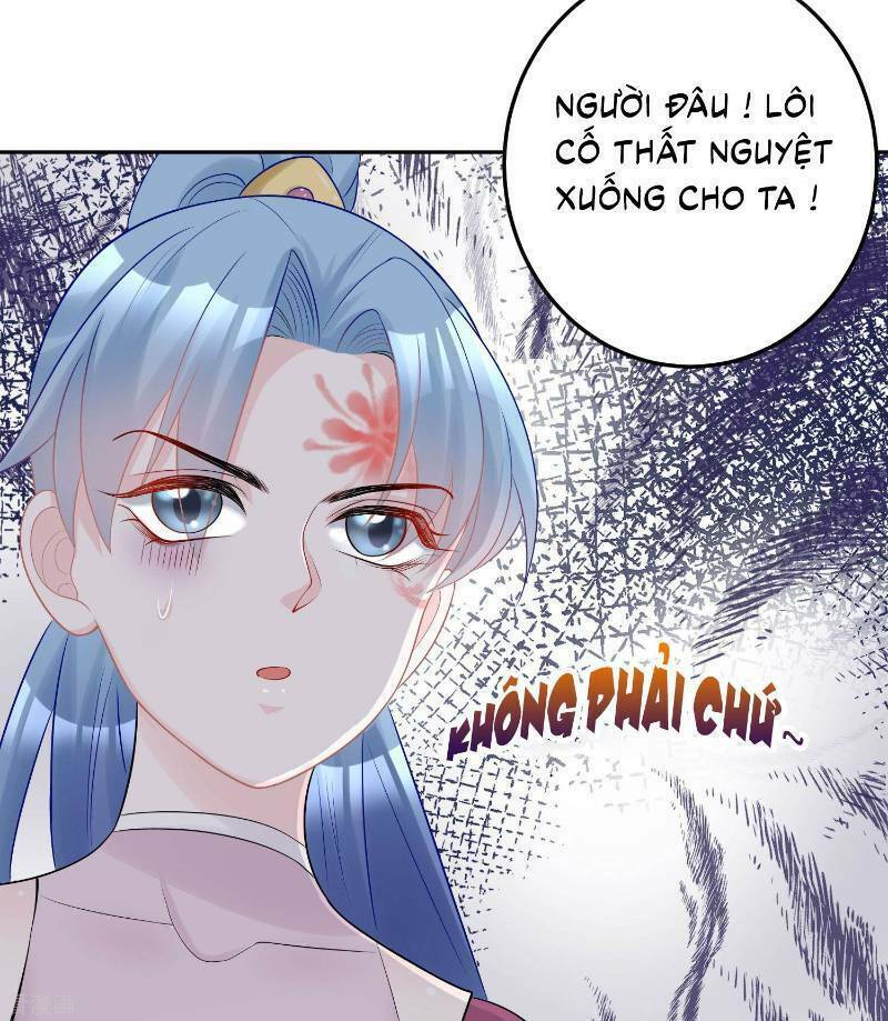 Độc Y Đích Nữ: Chapter 80