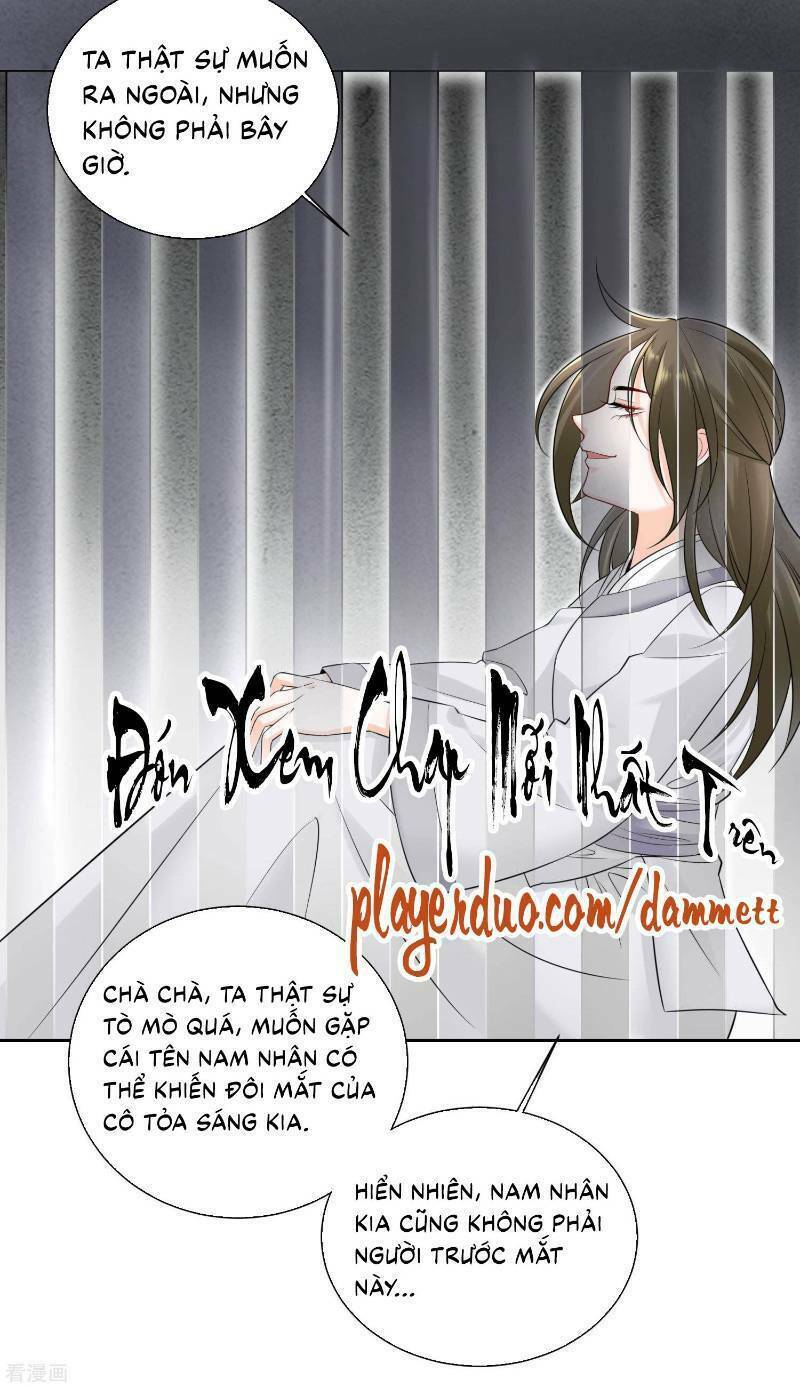 Độc Y Đích Nữ: Chapter 95