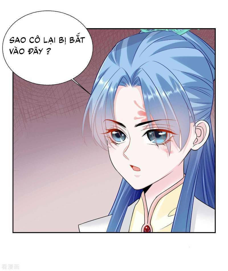 Độc Y Đích Nữ: Chapter 95