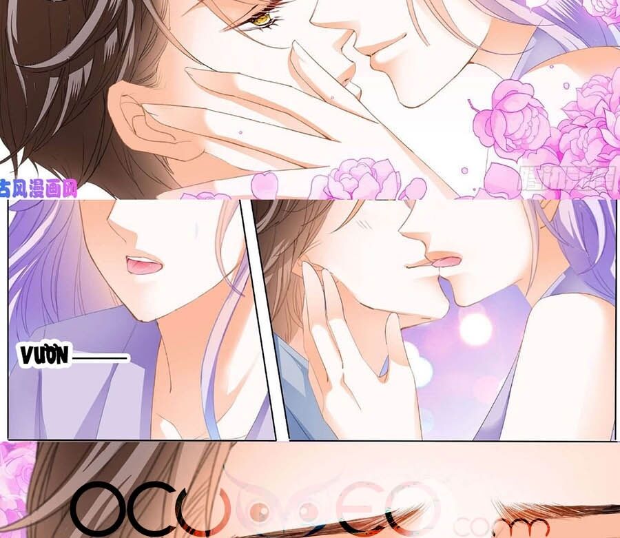 Cuồng nhiệt boss, sủng thê xin kiềm chế: Chapter 104