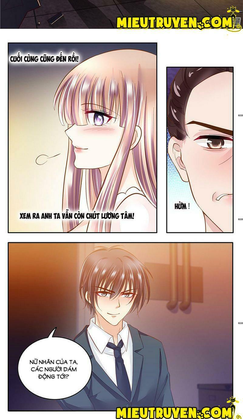 Vợ yêu cưới trước sủng sau: Chapter 10