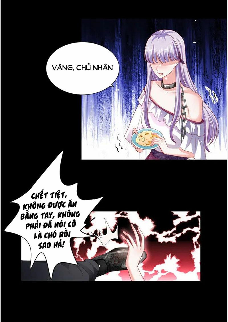 Vợ yêu cưới trước sủng sau: Chapter 112