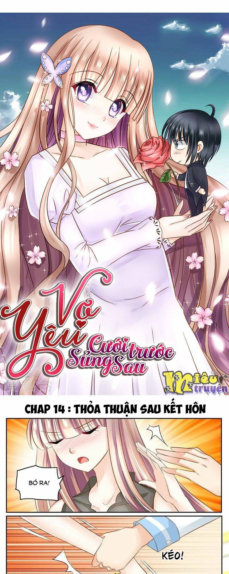 Vợ yêu cưới trước sủng sau: Chapter 14