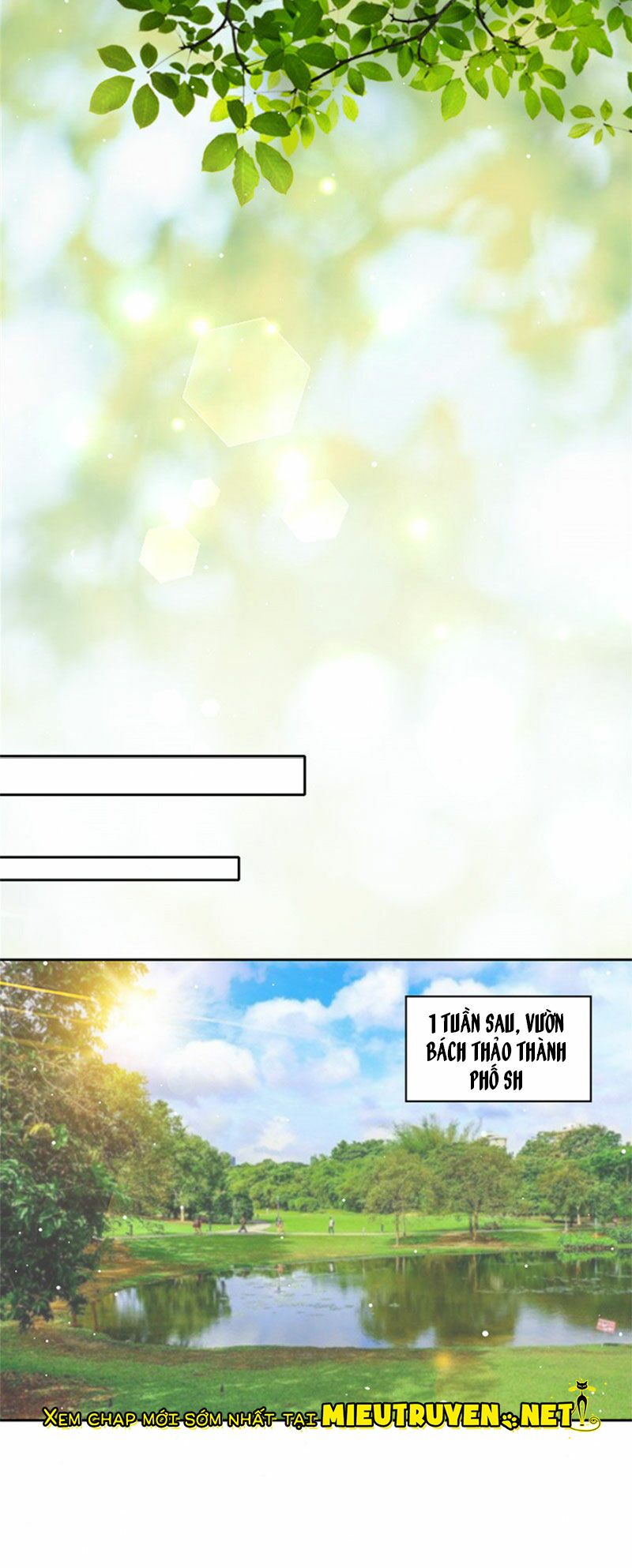 Vợ yêu cưới trước sủng sau: Chapter 146