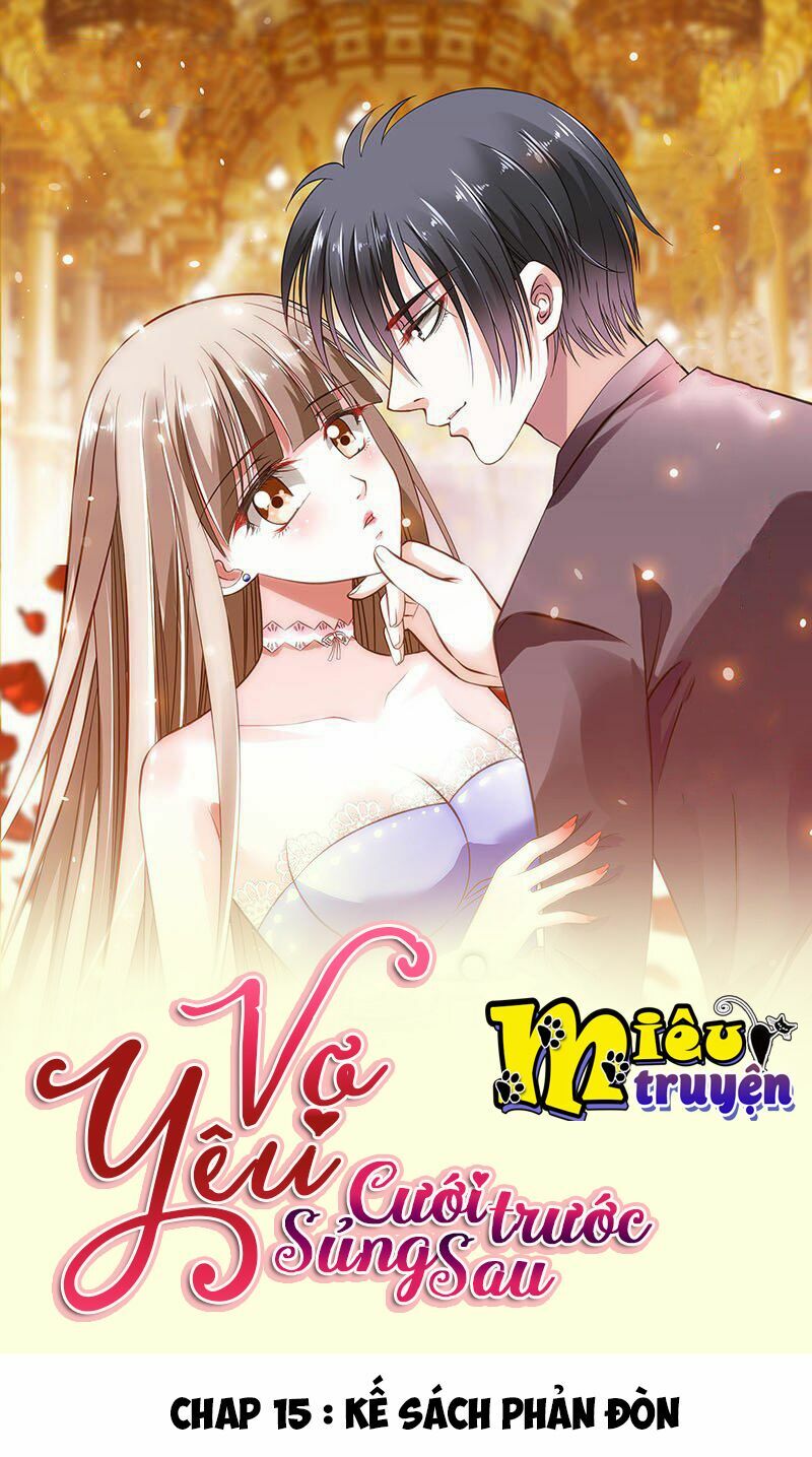 Vợ yêu cưới trước sủng sau: Chapter 15
