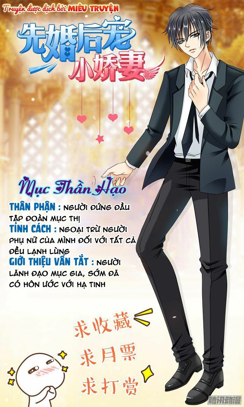 Vợ yêu cưới trước sủng sau: Chapter 2