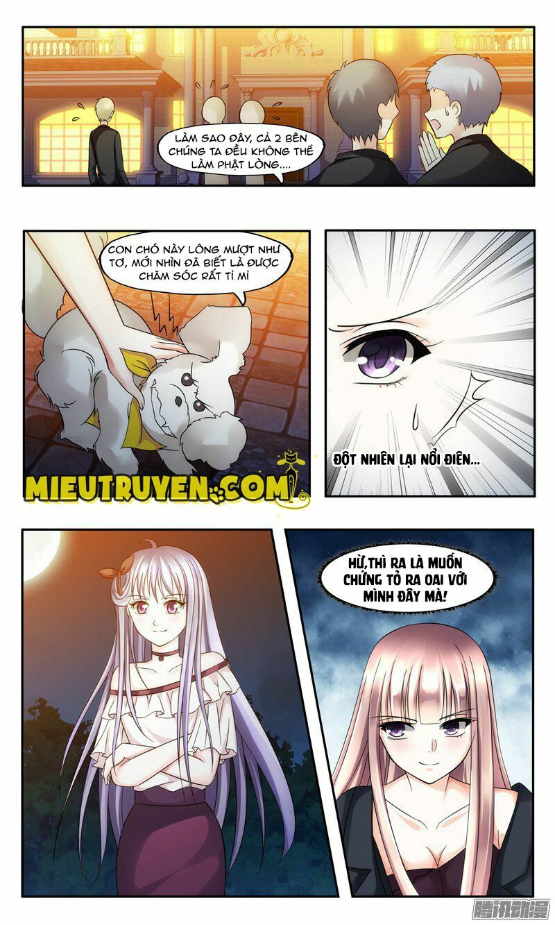 Vợ yêu cưới trước sủng sau: Chapter 4