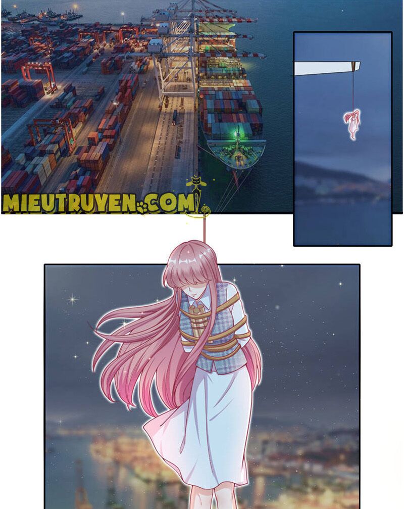 Vợ yêu cưới trước sủng sau: Chapter 66