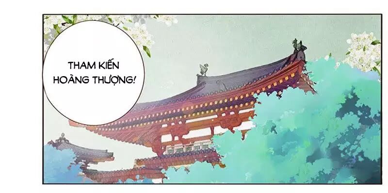 Đế Vương Trắc: Chapter 167