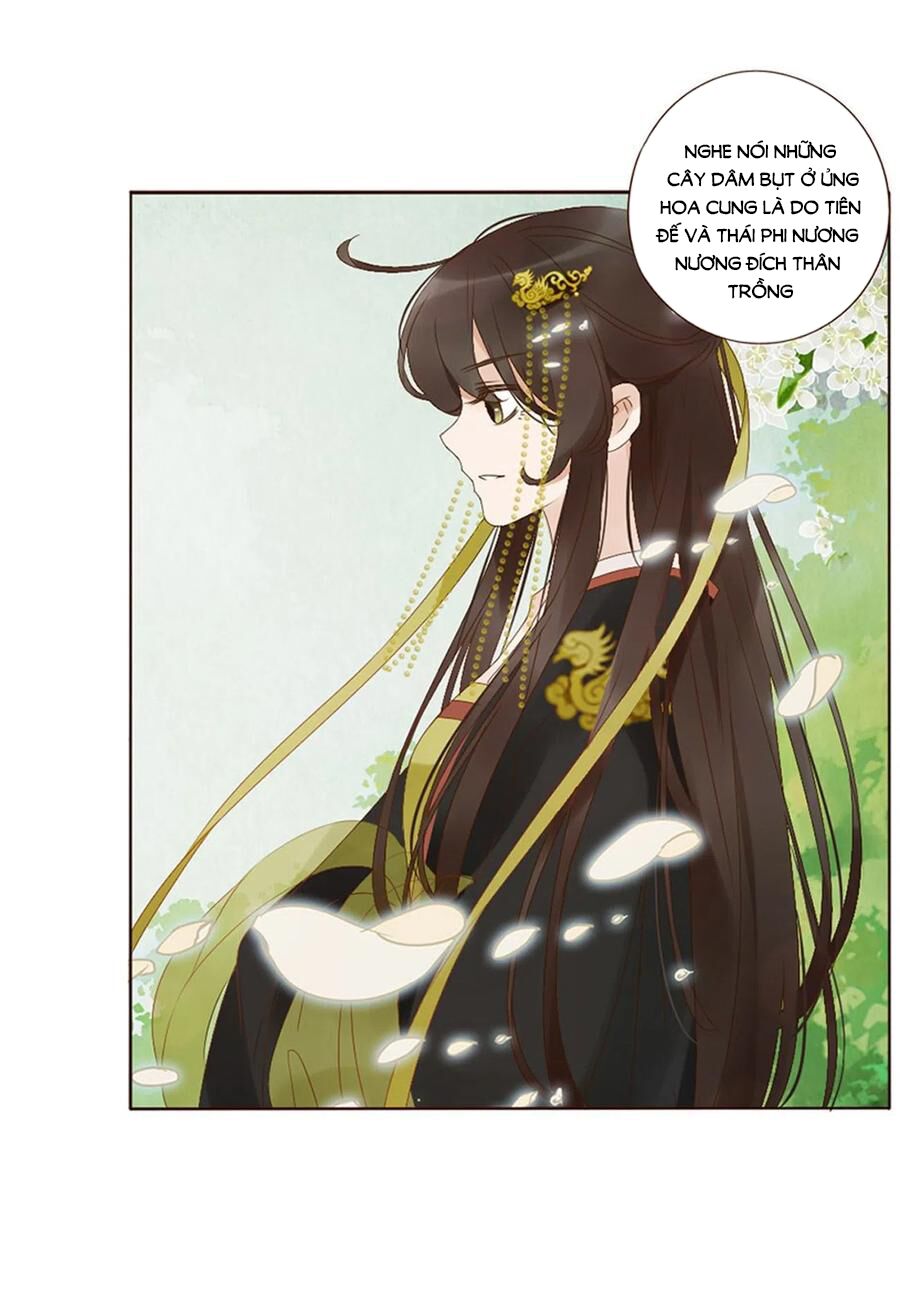 Đế Vương Trắc: Chapter 240