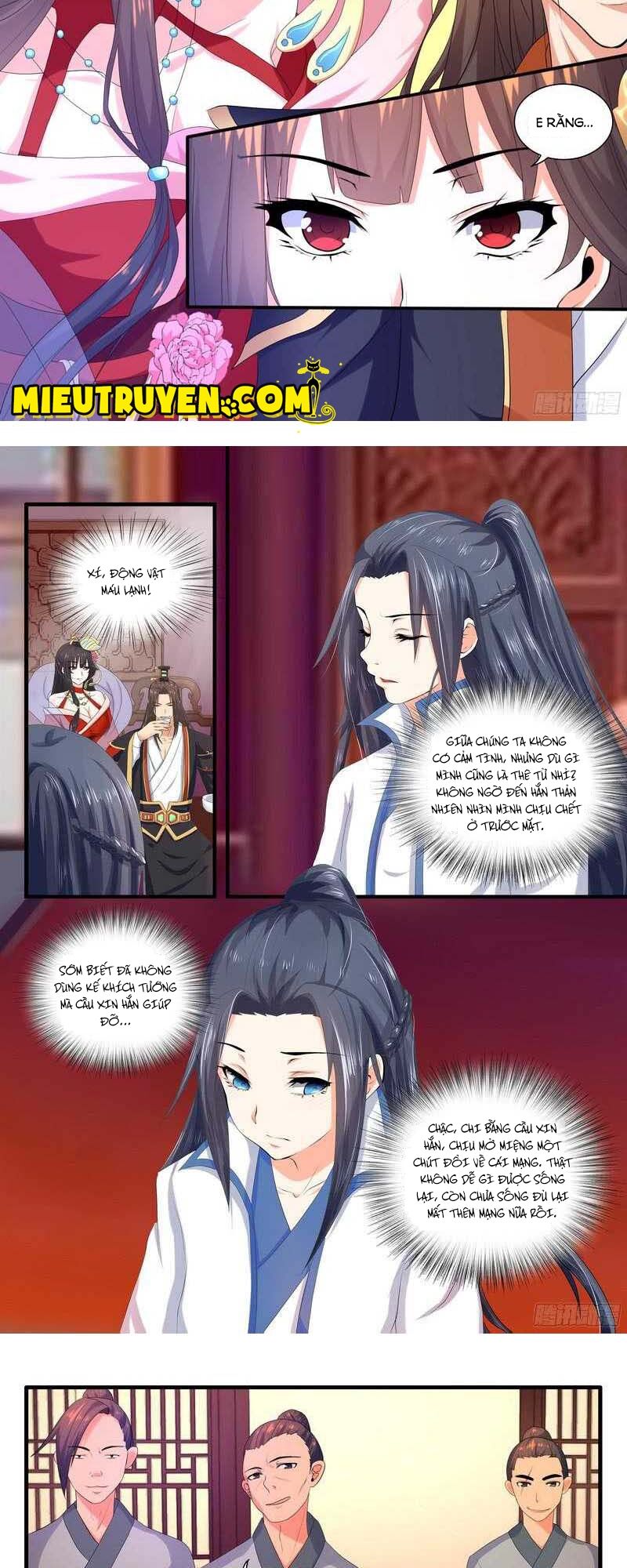 Y Nữ Khuynh Thành - Thịnh Sủng Vương Phi: Chapter 29