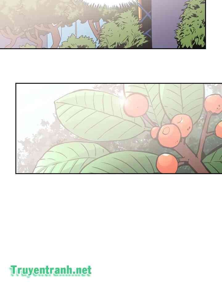 Chuyển Sinh Ma Pháp Đặc Biệt Yếu: Chapter 39