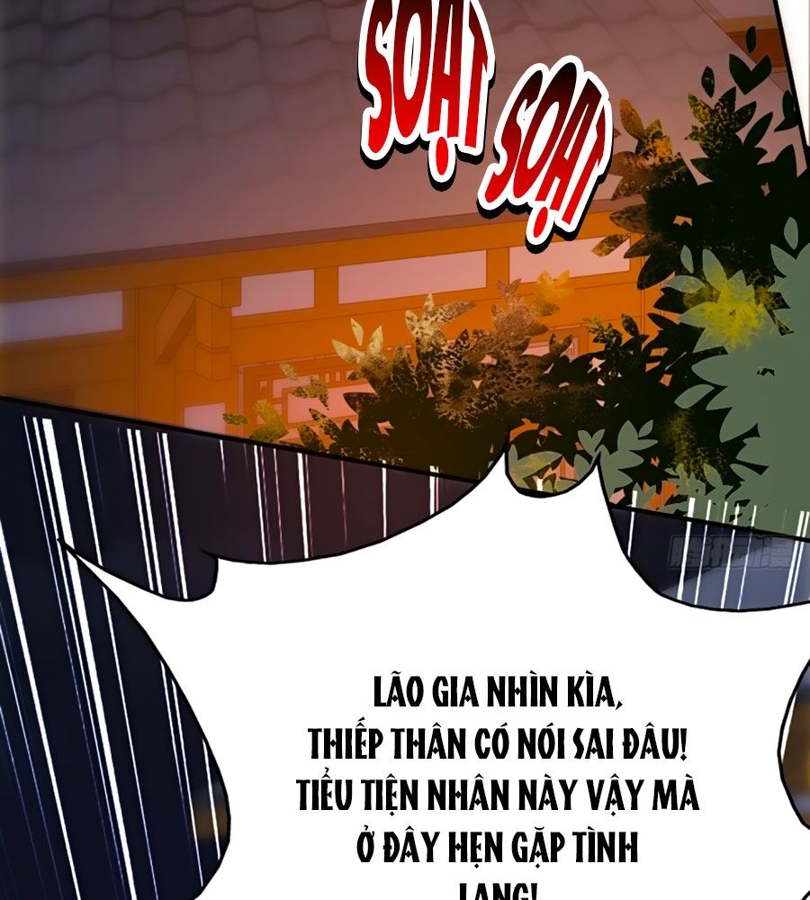 Phượng Ngự Tà Vương: Chapter 29