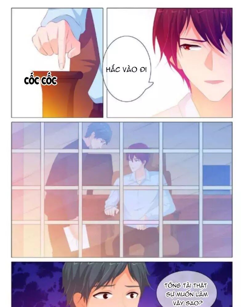 Băng Sơn Thủ Tế: Chapter 155