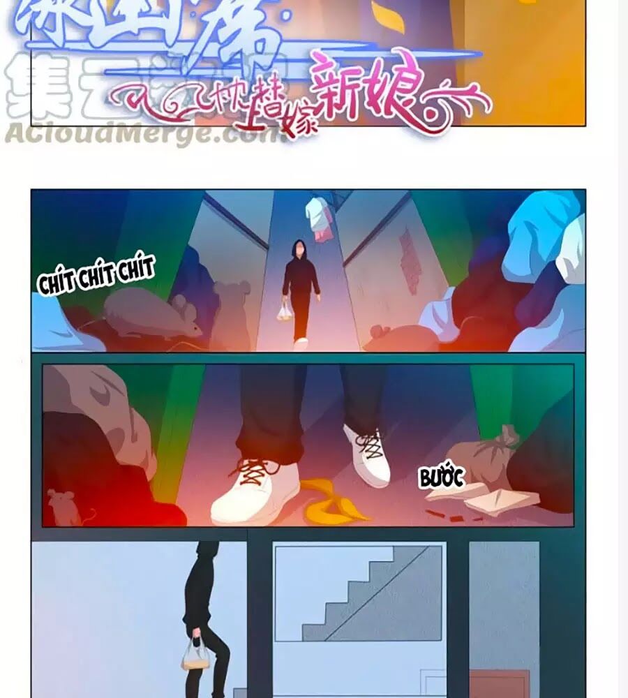 Băng Sơn Thủ Tế: Chapter 165